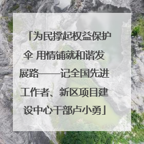 为民撑起权益保护伞 用情铺就和谐发展路——记全国先进工作者、新区项目建设中心干部卢小勇