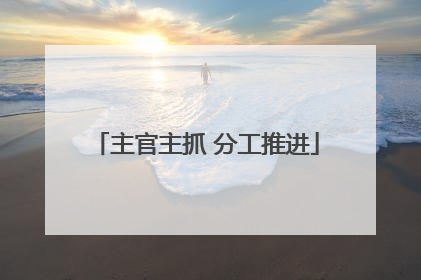 主官主抓 分工推进