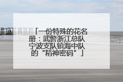 一份特殊的花名册：武警浙江总队宁波支队镇海中队的“精神密码”