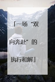 一场“双向奔赴”的执行和解