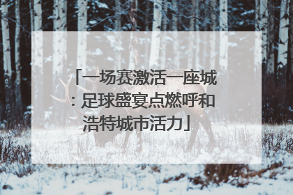 一场赛激活一座城：足球盛宴点燃呼和浩特城市活力