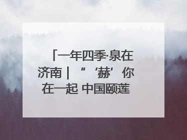 一年四季·泉在济南｜“‘赫’你在一起 中国颐莲喷雾节”盛大开启 共赴水润之约