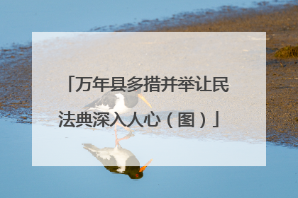 万年县多措并举让民法典深入人心（图）