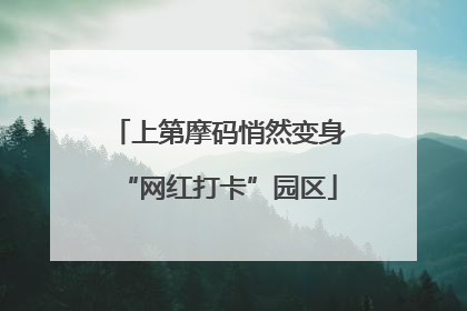 上第摩码悄然变身“网红打卡”园区