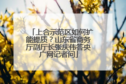 上合示范区如何扩能提质？山东省商务厅副厅长张庆伟答央广网记者问