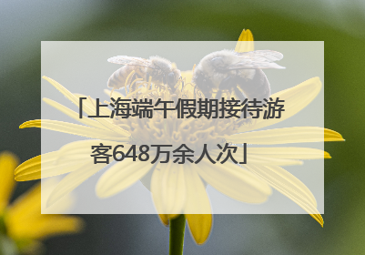上海端午假期接待游客648万余人次
