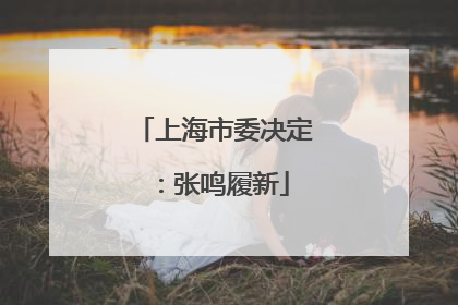 上海市委决定：张鸣履新