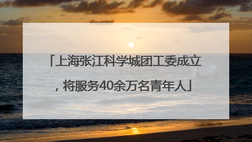 上海张江科学城团工委成立，将服务40余万名青年人