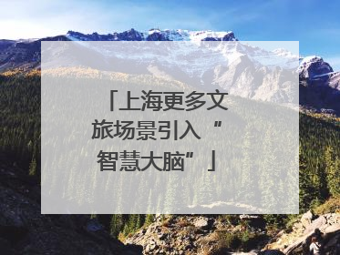 上海更多文旅场景引入“智慧大脑”