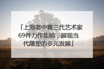 上海老中青三代艺术家69件力作集结，展现当代雕塑的多元发展