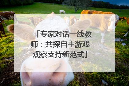 专家对话一线教师：共探自主游戏观察支持新范式