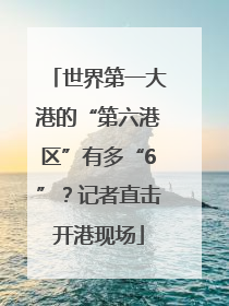 世界第一大港的“第六港区”有多“6”？记者直击开港现场