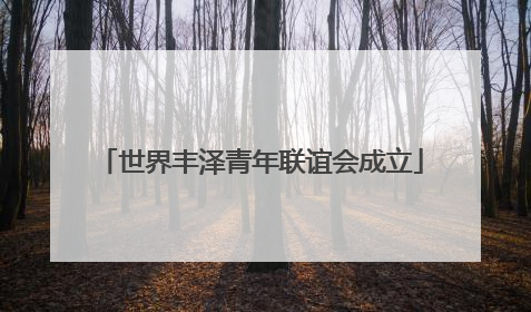 世界丰泽青年联谊会成立
