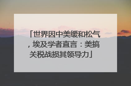 世界因中美缓和松气，埃及学者直言：美搞关税战损其领导力