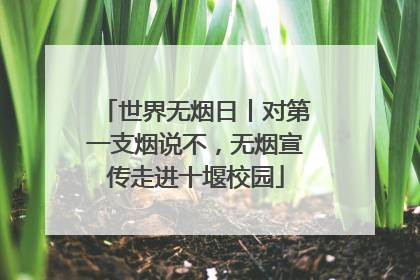 世界无烟日丨对第一支烟说不，无烟宣传走进十堰校园