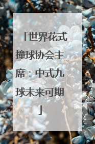 世界花式撞球协会主席：中式九球未来可期