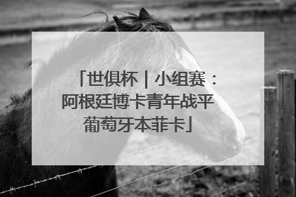 世俱杯｜小组赛：阿根廷博卡青年战平葡萄牙本菲卡