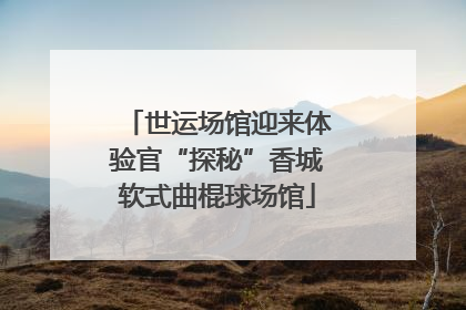 世运场馆迎来体验官“探秘”香城软式曲棍球场馆