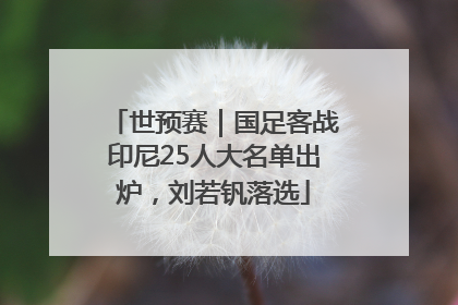 世预赛｜国足客战印尼25人大名单出炉，刘若钒落选