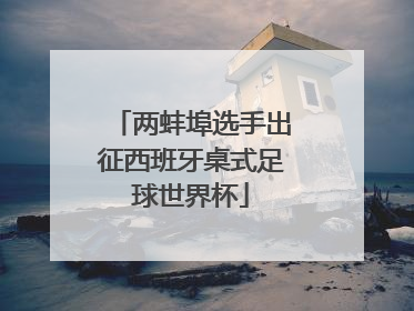 两蚌埠选手出征西班牙桌式足球世界杯