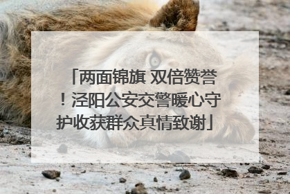 两面锦旗 双倍赞誉！泾阳公安交警暖心守护收获群众真情致谢