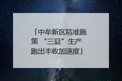 中牟新区精准施策 “三夏”生产跑出丰收加速度