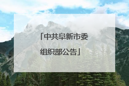 中共阜新市委组织部公告
