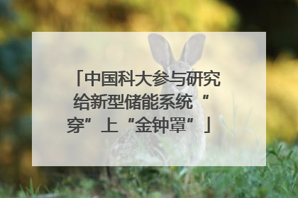 中国科大参与研究 给新型储能系统“穿”上“金钟罩”