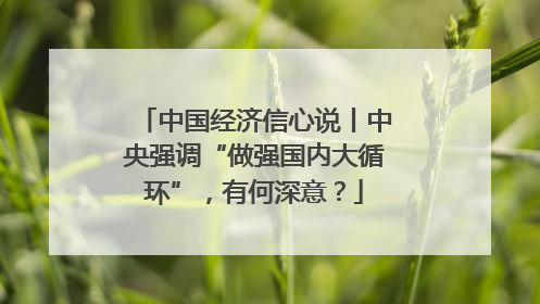 中国经济信心说丨中央强调“做强国内大循环”，有何深意？
