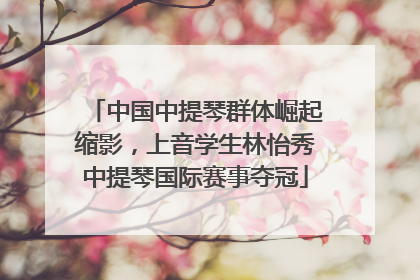 中国中提琴群体崛起缩影，上音学生林怡秀中提琴国际赛事夺冠