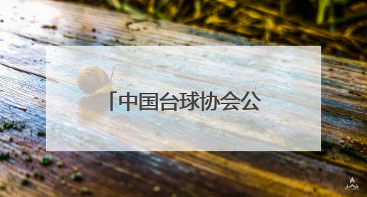 中国台球协会公示专项委员会名单：潘晓婷任主任，赵心童任委员