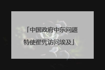 中国政府中东问题特使翟隽访问埃及