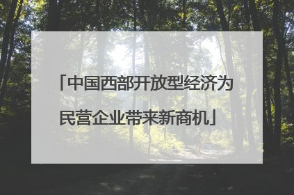 中国西部开放型经济为民营企业带来新商机