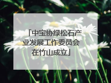 中宝协绿松石产业发展工作委员会在竹山成立