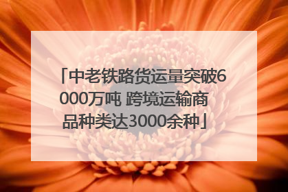 中老铁路货运量突破6000万吨 跨境运输商品种类达3000余种