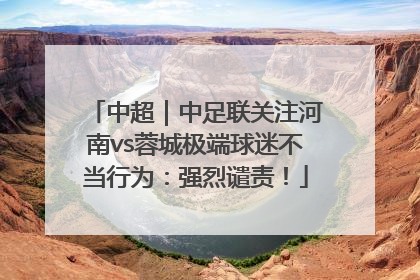 中超｜中足联关注河南vs蓉城极端球迷不当行为：强烈谴责！