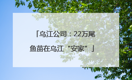 乌江公司：22万尾鱼苗在乌江“安家”