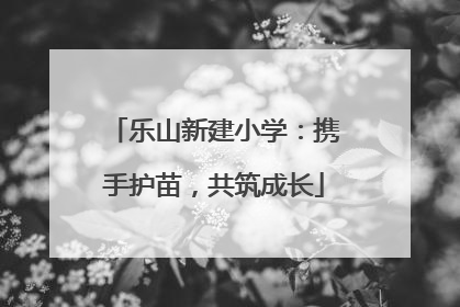 乐山新建小学：携手护苗，共筑成长