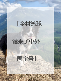 乡村篮球馆来了中外国字号