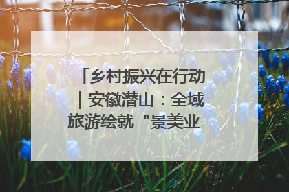 乡村振兴在行动｜安徽潜山：全域旅游绘就“景美业兴民富”新画卷