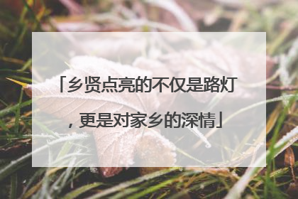 乡贤点亮的不仅是路灯，更是对家乡的深情