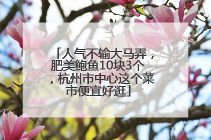 人气不输大马弄，肥美鲍鱼10块3个，杭州市中心这个菜市便宜好逛