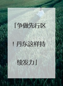 争做先行区！丹东这样持续发力