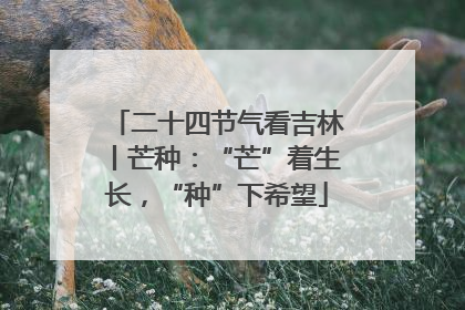 二十四节气看吉林丨芒种：“芒”着生长，“种”下希望
