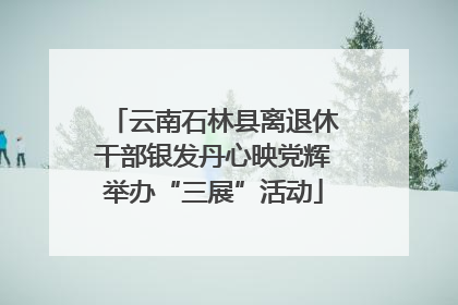 云南石林县离退休干部银发丹心映党辉举办“三展”活动