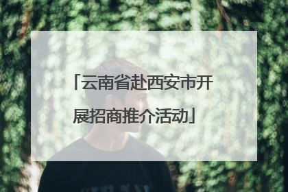 云南省赴西安市开展招商推介活动