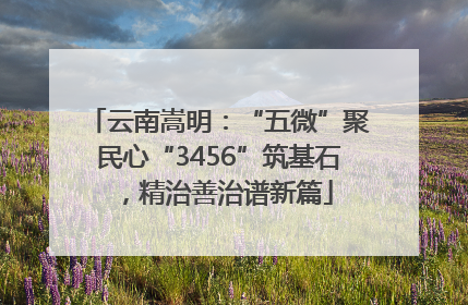 云南嵩明：“五微”聚民心“3456”筑基石，精治善治谱新篇