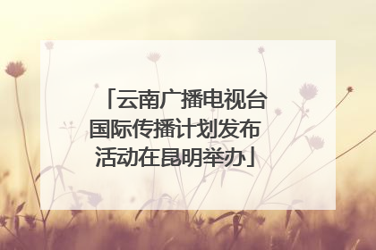 云南广播电视台国际传播计划发布活动在昆明举办