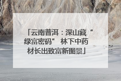 云南普洱：深山藏“绿富密码” 林下中药材长出致富新图景