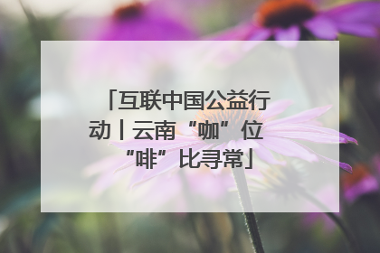 互联中国公益行动丨云南“咖”位“啡”比寻常
